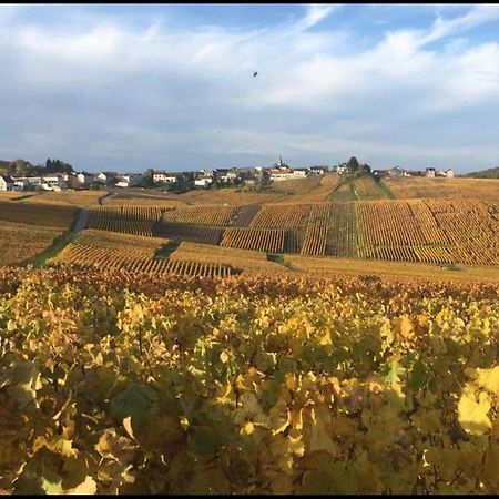 Gite En Champagne Le Sarment Cramant Екстер'єр фото