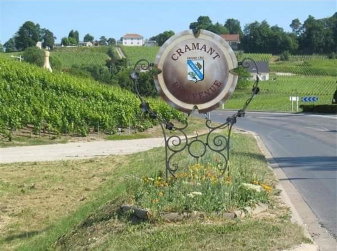 Gite En Champagne Le Sarment Cramant Екстер'єр фото