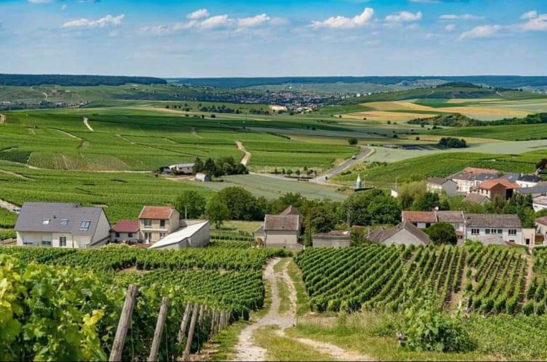 Gite En Champagne Le Sarment Cramant Екстер'єр фото